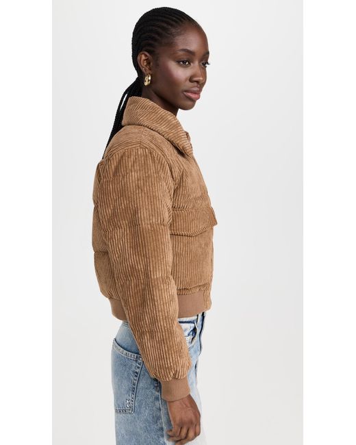 Save The Duck Blue Reily Corduroy Bomber Jacket