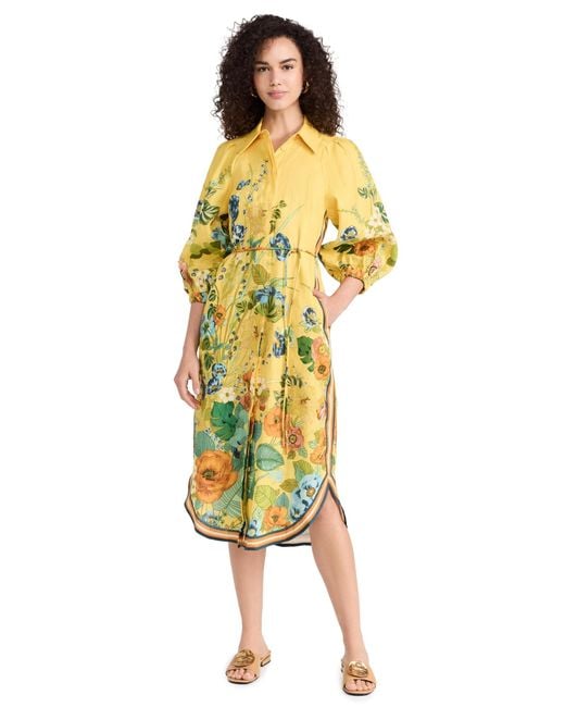 knee length dresses for ladies ALMAIS Sidi Midi Dress 14 AU/UK (10 US)