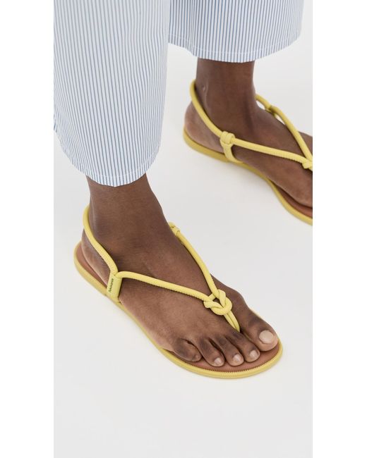 Havaianas Multicolor Una Acai Eur Sandals