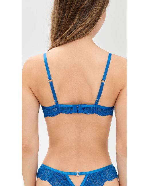 Bluebella Blue Peyton Wired Bra
