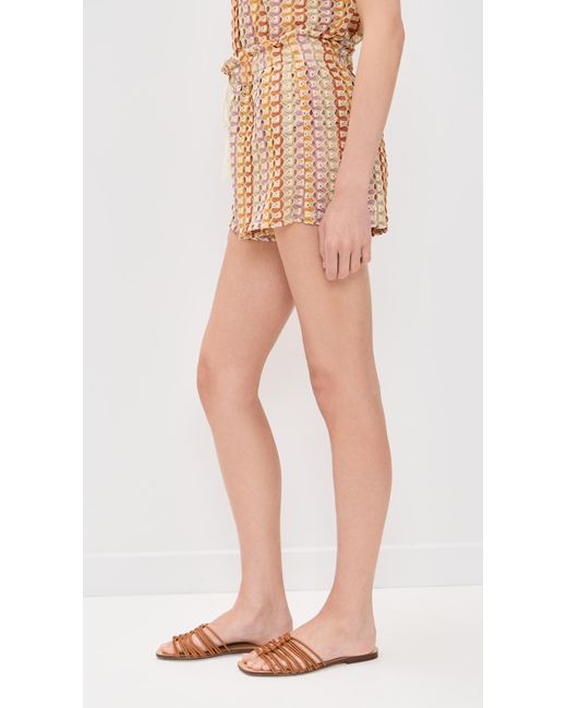 Palmacea Multicolor Irene Shorts