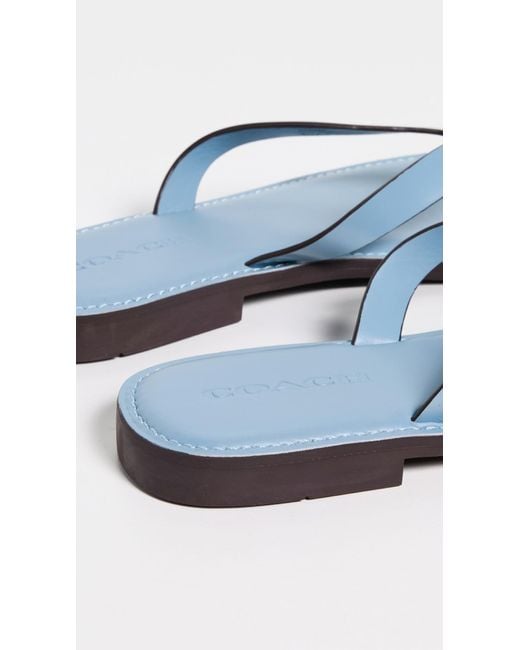 COACH Blue Brianna Flip Flops