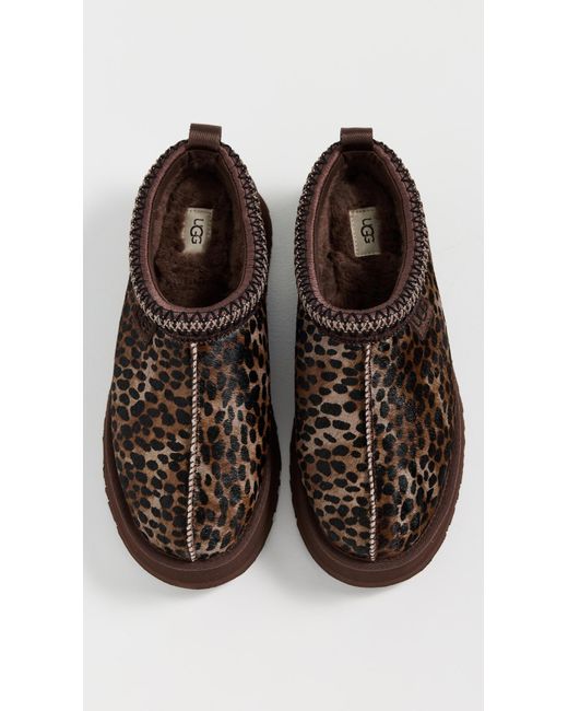 Ugg Brown Tazz Caspian Slippers
