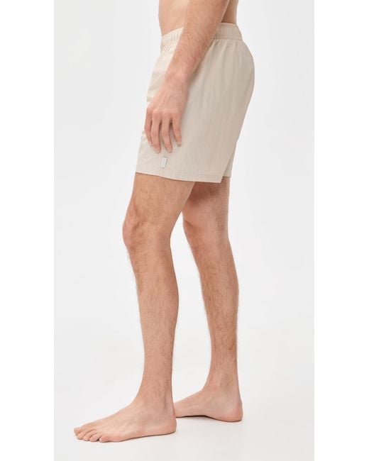 AUTO-REPLY Multicolor Solid Sebastian Swim Trunks 6 for men