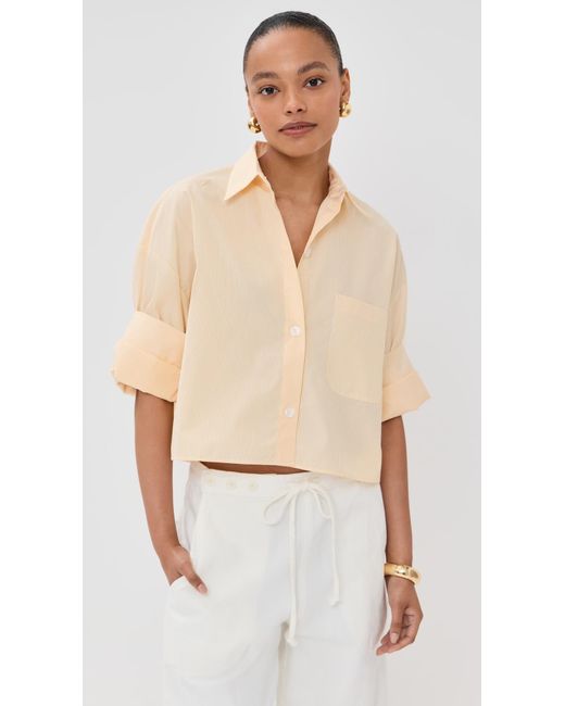 Twp Multicolor Next Ex Buttondown