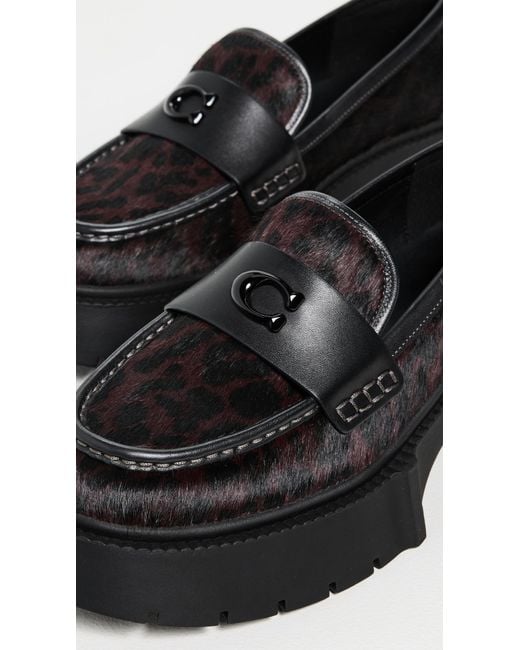 COACH Black Leah Platform Leopard Print Loafer