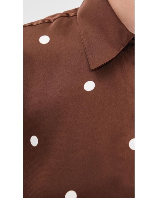 Z Supply Brown Mari Button Up Dot Top