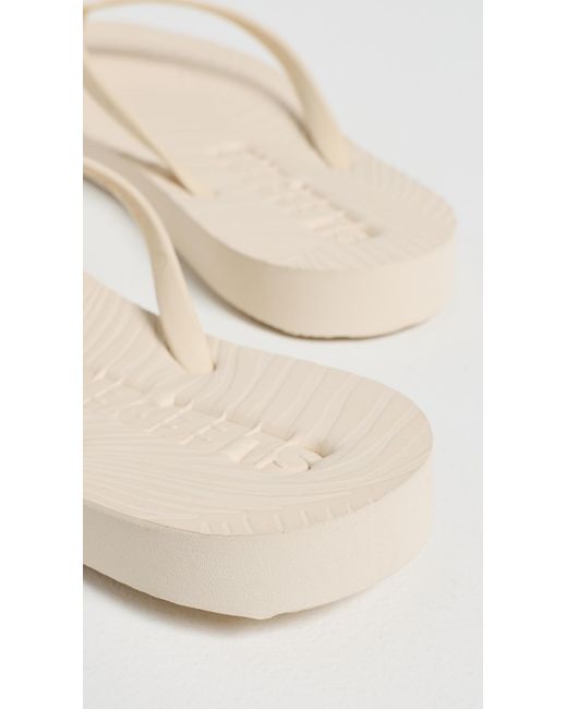 Sleeper Multicolor Platform Flip Flops