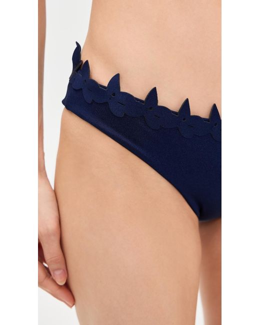 Ancora Blue Sylva Bikini Bottoms
