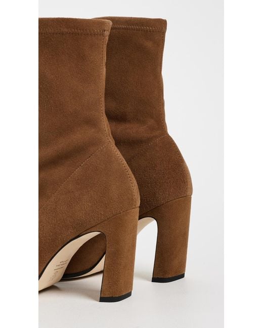 Stuart Weitzman Brown Stassi Stretch Booties