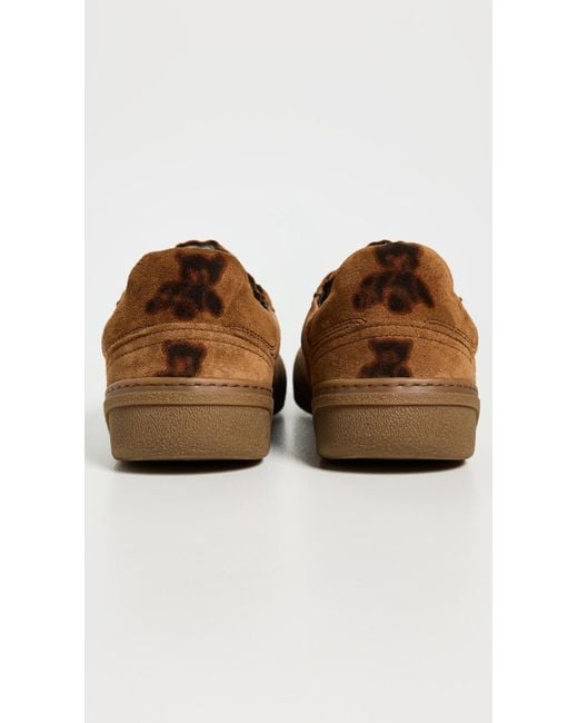 Acne Brown Bars Bear Print Winter Sneakers