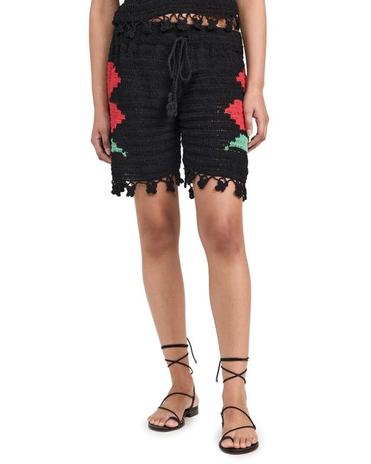 Celiab Black Crochet Shorts