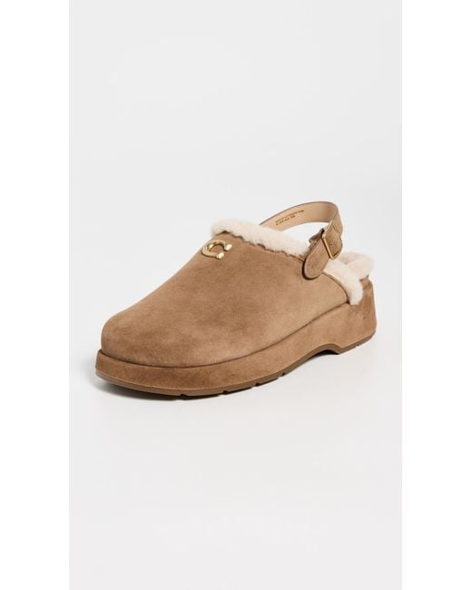 COACH White Sculpted C Suede Shearling Platform Clogs