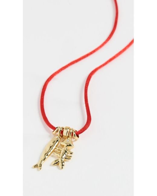 Eliou Multicolor Sardine And Fish Bone Necklace