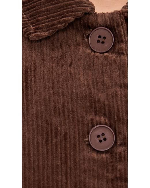 Lioness Brown Balmy Jacket
