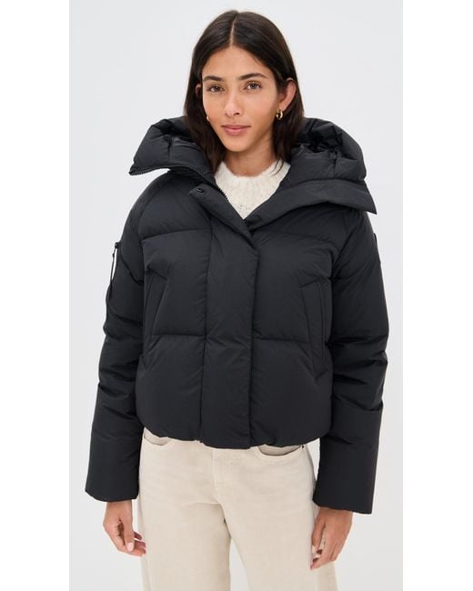 Canada Goose Black Chilliwack Puffer Jacket