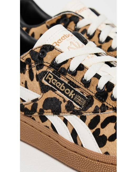 Reebok Multicolor Club C Grounds Uk Sneakers