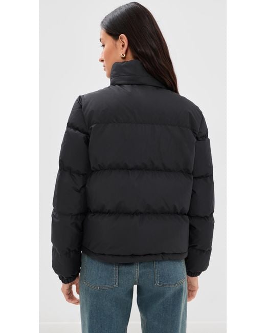 Burberry Black Ambleside Puffer Jacket