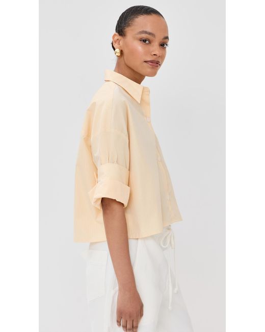 Twp Multicolor Next Ex Buttondown