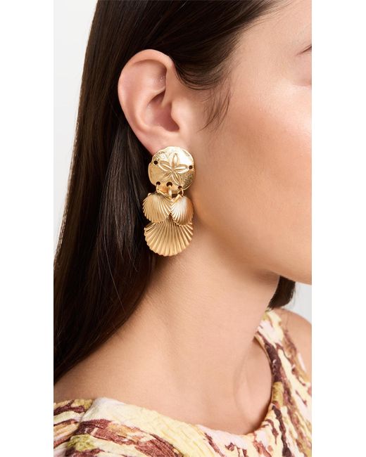 Elizabeth Cole Natural Perlette Earrings