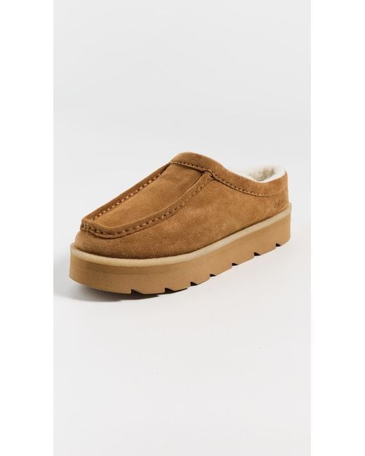 Clarks Multicolor Meare Mules