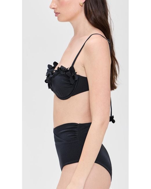 Ancora Black Dendron Bikini Top