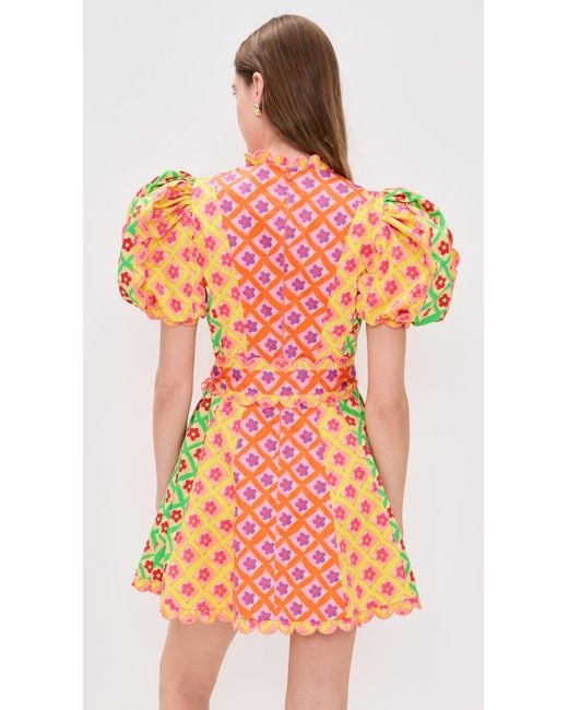 Celiab Women's Orange Nauru Dress mini dresses