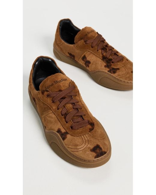 Acne Brown Bars Bear Print Winter Sneakers