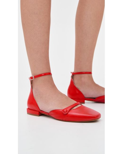 INTENTIONALLY ______ Red Iris Flats