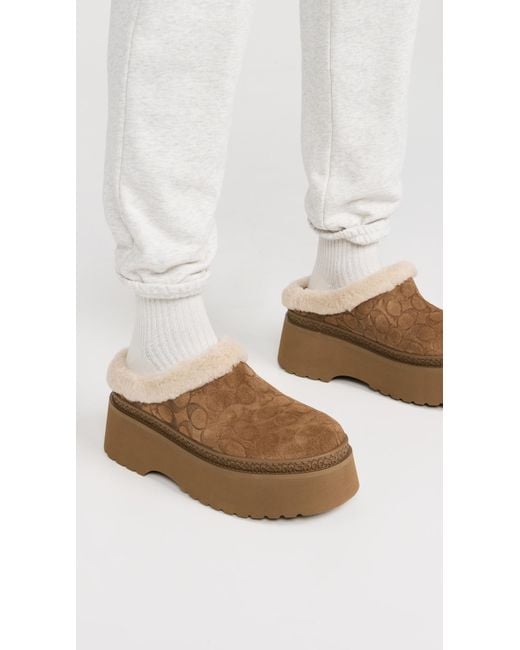 COACH White Cecilia Sherpa Clogs