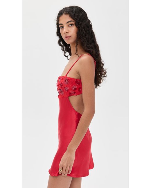 bailey rose mini dress Bailey Rose Dresses