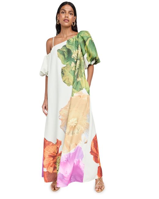 payton floral asymmetric neck maxi dress Payton Maxi Slip Dress