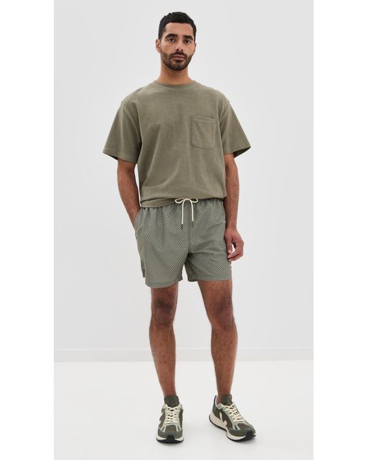 Barbour Green Shell Swim Shorts 5.5 for men