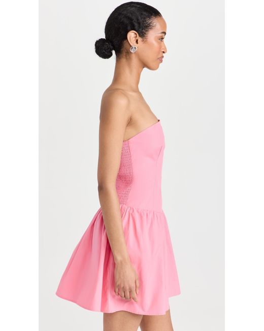 Susana Monaco Pink Popin Tube Fare Dress