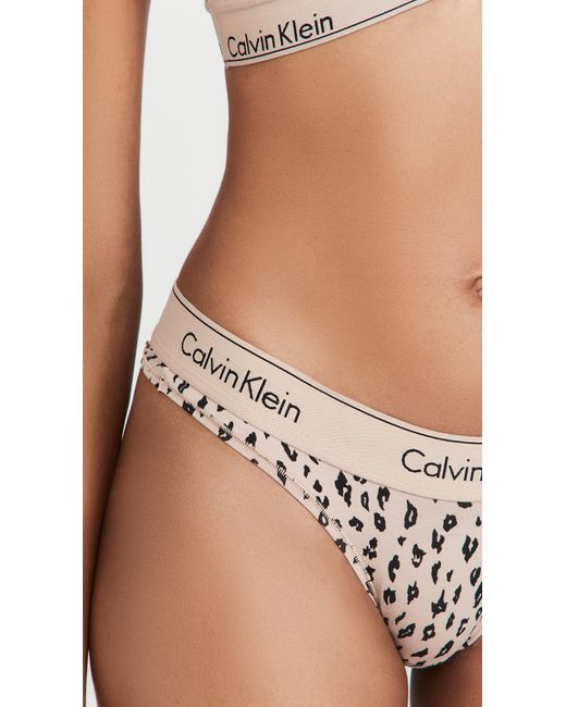 Calvin Klein Womens Modern Cotton Brazilian Cut Panty