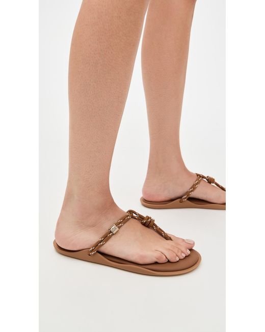 FLOWZE Multicolor Flo Slides