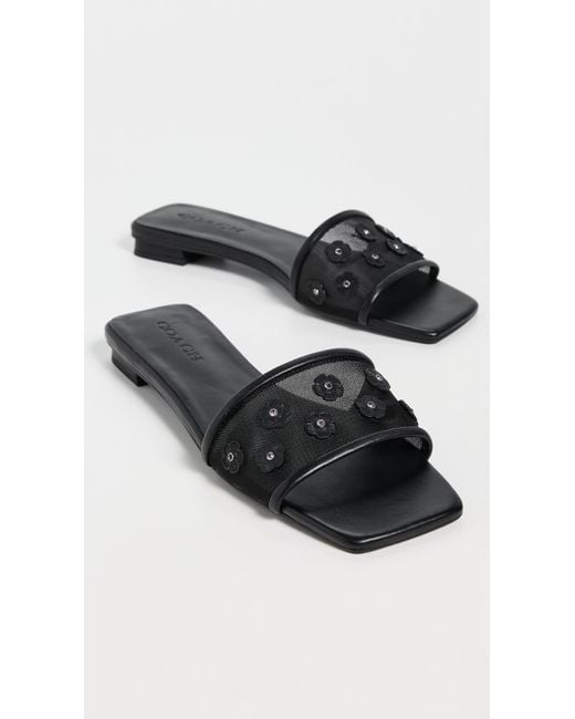 COACH Black Tea Rose Flat Sandals
