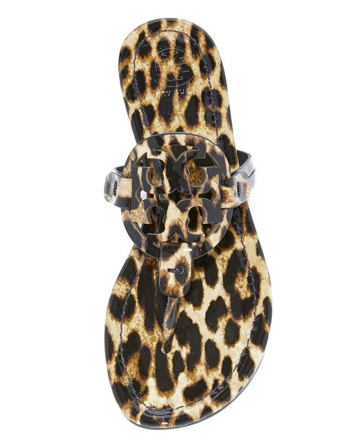 Leopard miller best sale sandals