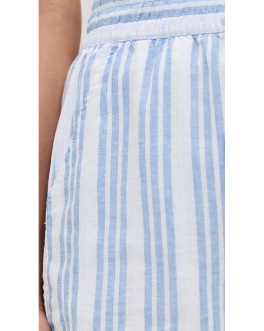 Splendid Blue Campside Shorts