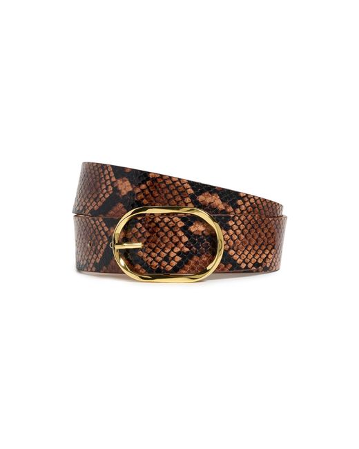 B-Low The Belt Brown Kyra Python Belt