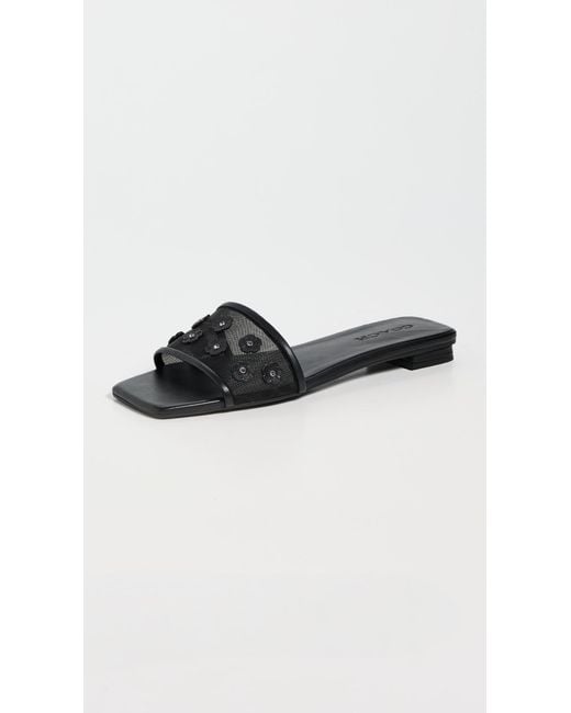 COACH Black Tea Rose Flat Sandals
