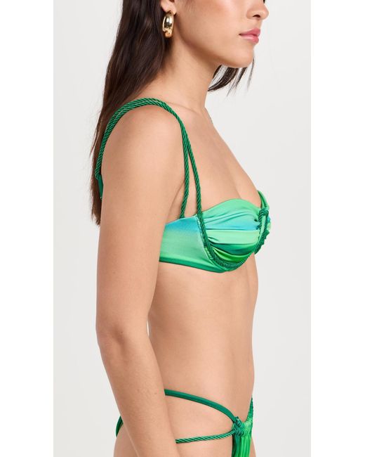Baobab Green Lula Bikini Top