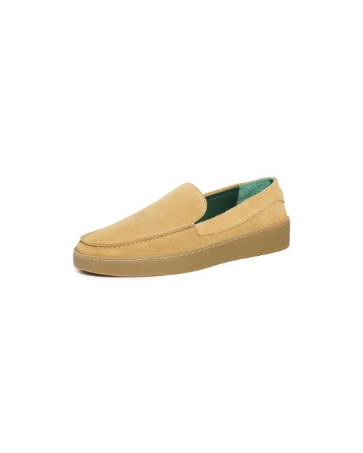 VINNY'S Multicolor Ezee Suede Slip On Loafers for men