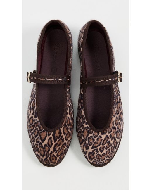 Flabelus Brown Pierre Flats