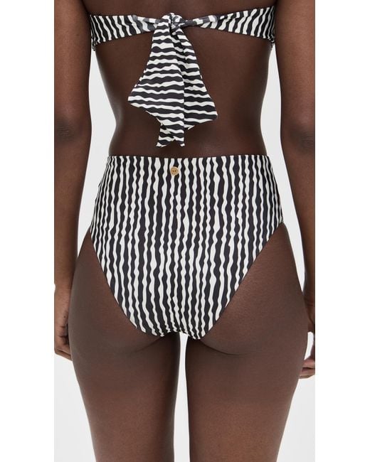 Palmacea Multicolor Sua Bikini Bottoms