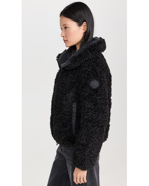 Save The Duck Black Kennie Jacket
