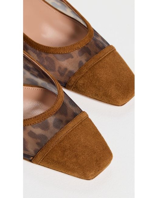 Aquazzura Brown Mayor Mesh Pumps 35Mm