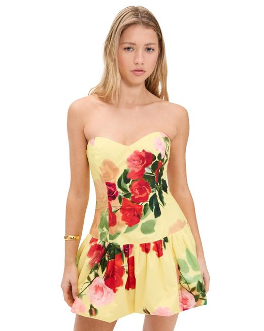 Cara Cara Red Elena Dress