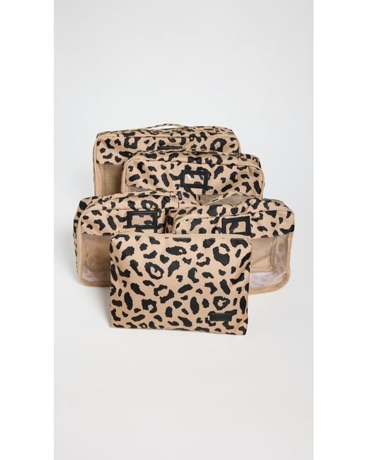 CALPAK White 5 Piece Packing Cube Set