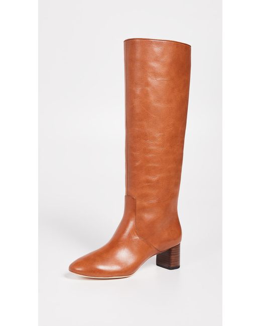 gia tall boot
